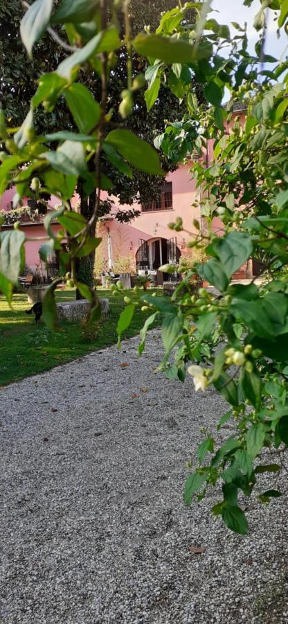 Hotel Residenza La Dimora ImPerfetta Salionze Esterno foto